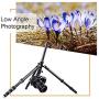 K&F Concept 61" Carbon Fiber Camera Tripod,B210 Professional Lightweight Compact Tripod with 2 Sections Central Column 360 Degree Ball Head and Carrying Case for Digital Camera/Camcorder