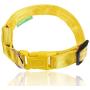 Illumiseen LED Dog Collar - USB Rechargeable - Available in 6 Colors & 6 Sizes - Makes Your Dog Visible, Safe & Seen