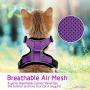 rabbitgoo Cat Harness and Leash for Walking, Escape Proof Soft Adjustable Vest Harnesses for Medium Large Cats, Easy Control Breathable Pet Safety Jacket with Reflective Strips & 1 Metal Leash Ring