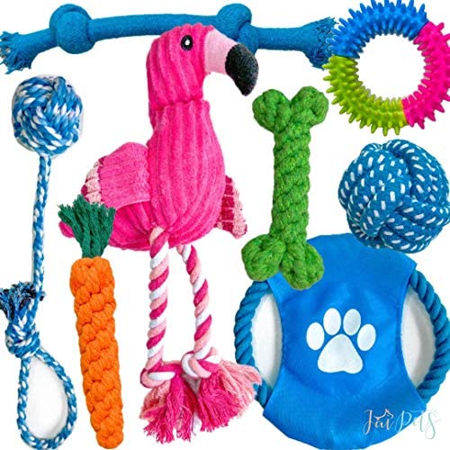 JAI PETS Dog Toys for Puppies Puppy Chew Toys - Puppy Toys for Teething - Dog Rope and chew - Puppy Toys for Small Medium Dogs - 8pc