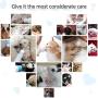 Pet Feeding Bottle Can Squeeze Liquid Feeding Kit and Replacement Mini Nipples for Kitten Puppy Small Animals Feeding Tool Pet Feeding Bottle Can Squeeze Liquid Feeding Kit and Replacement Mini Nipples for Kitten Puppy Small Animals Feeding Tool