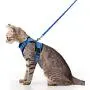 rabbitgoo Cat Harness and Leash for Walking, Escape Proof Soft Adjustable Vest Harnesses for Medium Large Cats, Easy Control Breathable Pet Safety Jacket with Reflective Strips & 1 Metal Leash Ring rabbitgoo Cat Harness and Leash for Walking, Escape Proof Soft Adjustable Vest Harnesses for Medium Large Cats, Easy Control Breathable Pet Safety Jacket with Reflective Strips & 1 Metal Leash Ring