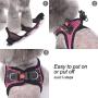 matilor 2 Packs Dog Harness Step-in Breathable Puppy Cat Dog Vest Harnesses for Small Medium Dogs