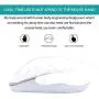 Wireless Gaming Mouse 2.4G Portable Mobile Optical Mice with USB Nano Receiver for Laptop,PC,Computer,Chromebook,Macbook,Notebook(Platinum)