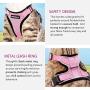 rabbitgoo Cat Harness and Leash for Walking, Escape Proof Soft Adjustable Vest Harnesses for Medium Large Cats, Easy Control Breathable Pet Safety Jacket with Reflective Strips & 1 Metal Leash Ring