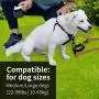 POOCHY - Your Dogs Poop in A Bag is The Most Comfortable, Clean, Healthy, Indoor and Outdoor Solution for Regular Relief – For dogs 22-99lbs with minimum tails ¾ Inch thick and 3 Inches long POOCHY - Your Dogs Poop in A Bag is The Most Comfortable, Clean, Healthy, Indoor and Outdoor Solution for Regular Relief – For dogs 22-99lbs with minimum tails ¾ Inch thick and 3 Inches long