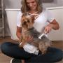 WAHL Premium Flea, Hair Pick, and Finishing Comb with Ergonomic Grips for Dog Grooming, Brushing, Detangling, and Flea Removal