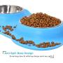 UPSKY Dog Cat Bowls Stainless Steel Double Dog Food and Water Bowls with No-Spill No-Skid Silicone Mat, Pet Feeder Bowls Small Puppy Bowl for Small Dogs Cats