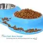 UPSKY Dog Cat Bowls Stainless Steel Double Dog Food and Water Bowls with No-Spill No-Skid Silicone Mat, Pet Feeder Bowls Small Puppy Bowl for Small Dogs Cats UPSKY Dog Cat Bowls Stainless Steel Double Dog Food and Water Bowls with No-Spill No-Skid Silicone Mat, Pet Feeder Bowls Small Puppy Bowl for Small Dogs Cats