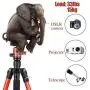 MACTREM Professional Camera Tripod with Phone Mount, 62" DSLR Tripod for Travel, Super Lightweight and Reliable Stability, Ball Head Tripod Detachable Monopod with Carry Bag (Orange) MACTREM Professional Camera Tripod with Phone Mount, 62" DSLR Tripod for Travel, Super Lightweight and Reliable Stability, Ball Head Tripod Detachable Monopod with Carry Bag (Orange)