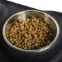 Franklin Pet Supply Double Bowl Pet Feeding Station - Stainless Bowls - No Mess - No Spill - Non-Slip, Model Number: 90062XB Franklin Pet Supply Double Bowl Pet Feeding Station - Stainless Bowls - No Mess - No Spill - Non-Slip, Model Number: 90062XB