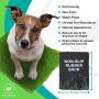 SavvyGrow Artificial Grass for Dogs Pee Pads - Premium 4 Tone Puppy Potty Training, Easy to Clean with Drain Holes - Fake Astro Turf Dog Mat Pad – Non Toxic for Pet (Many Sizes)(17 in x 24 in)