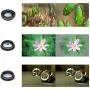 Cell Phone Camera Lens Kit,11 in 1 Super Wide Angle+ Macro+ Fisheye Lens +Telephoto+ CPL+3/6 Kaleidoscope+Starburst/Radial/Soft/Flow Filter Lens Compatible for iPhone X/8/7/6s/6 Plus, Samsung,Android Cell Phone Camera Lens Kit,11 in 1 Super Wide Angle+ Macro+ Fisheye Lens +Telephoto+ CPL+3/6 Kaleidoscope+Starburst/Radial/Soft/Flow Filter Lens Compatible for iPhone X/8/7/6s/6 Plus, Samsung,Android