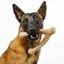 Pet Qwerks Wish BarkBone - For Aggressive Chewers| Made in USA