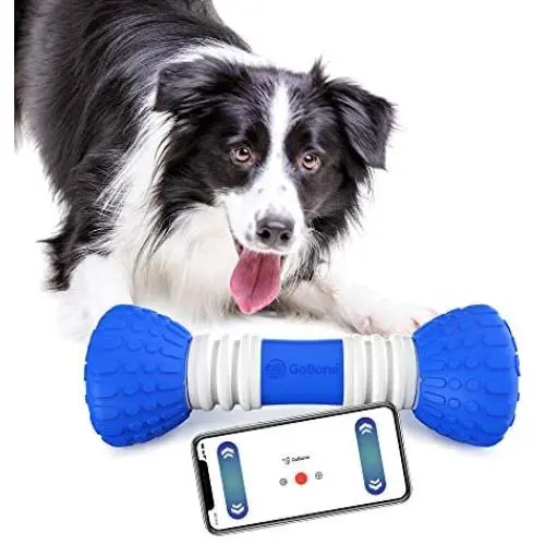 GoBone Interactive App-Enabled Smart Bone for Dogs and Puppies, One Size GoBone Interactive App-Enabled Smart Bone for Dogs and Puppies, One Size