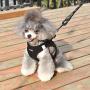 matilor 2 Packs Dog Harness Step-in Breathable Puppy Cat Dog Vest Harnesses for Small Medium Dogs