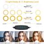 10” Selfie Ring Light with Adjustable Tripod Stand and Phone Holder for YouTube TikTok Photography,Mountdog LED Camera Circle Lights Halo Lighting Compatible with iPhone and Android Phone