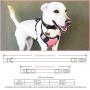 BABYLTRL Big Dog Harness No Pull Adjustable Pet Reflective Oxford Soft Vest for Large Dogs Easy Control Harness BABYLTRL Big Dog Harness No Pull Adjustable Pet Reflective Oxford Soft Vest for Large Dogs Easy Control Harness