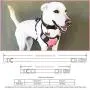 BABYLTRL Big Dog Harness No Pull Adjustable Pet Reflective Oxford Soft Vest for Large Dogs Easy Control Harness
