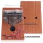 VI VICTORY 17 Key 3D Painted Kalimba African Thumb Piano Finger Percussion Keyboard Music Instruments Without Notes (Plum Blossom 3)