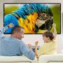 Mdbebbron 120 inch Projection Screen 16:9 HD Foldable Anti-Crease Portable Projector Movies Screen for Home Theater Outdoor Indoor Support Double Sided Projection