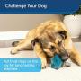 PetSafe Jewel Pop Treat Holding Dog Toy PetSafe Jewel Pop Treat Holding Dog Toy