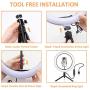 Ring Light, BEACON 10" LED Ring-Light-with-Tripod-Stand and Phone Holder for Live Streaming & YouTube Video, Dimmable Desk Makeup Ring Light for Photography, with 3 Light Modes & 10 Brightness Level