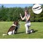 GOTONE Dog Training Kit Dog Treat Pouch, Clip on Dog Treat Bag and 7pcs Adjustable Puppy Doorbells, Whistle to Control Stop Barking Dog, Collapsible Bowl, Dog Training Set Clicker GOTONE Dog Training Kit Dog Treat Pouch, Clip on Dog Treat Bag and 7pcs Adjustable Puppy Doorbells, Whistle to Control Stop Barking Dog, Collapsible Bowl, Dog Training Set Clicker