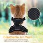 rabbitgoo Cat Harness and Leash for Walking, Escape Proof Soft Adjustable Vest Harnesses for Medium Large Cats, Easy Control Breathable Pet Safety Jacket with Reflective Strips & 1 Metal Leash Ring