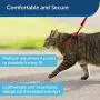 PetSafe Come with Me Kitty Harness and Bungee Leash, Harness for Cats PetSafe Come with Me Kitty Harness and Bungee Leash, Harness for Cats