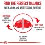 Royal Canin Breed Health Nutrition Dachshund Puppy Dry Dog Food