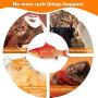 HZONE Electric Flopping Fish Cat Toy, Realistic Plush Interactive Electric Moving Fish Cat Kicker Toys, Wiggle Fish Catnip Toys Motion Kitten Toy, Cat Chew Bite Kick Toy for Cat Kitten Kitty Exercise