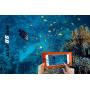 Premium Waterproof Dry Bag with Phone Pouch and Waist Bag 5L/10L/ 20L/30L,Travel Gear for Kayaking, Swimming,Rafting, Boating, Beach, Camping,Fishing, Hiking, Snorkelling