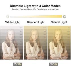 Selfie Ring Light with Tripod Stand and Phone Holder LED Circle Lights Halo Lighting for Photo Photography Vlogging Make Up Video