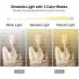 Selfie Ring Light with Tripod Stand and Phone Holder LED Circle Lights Halo Lighting for Photo Photography Vlogging Make Up Video Selfie Ring Light with Tripod Stand and Phone Holder LED Circle Lights Halo Lighting for Photo Photography Vlogging Make Up Video