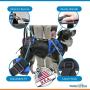 Walkin Lift Full Support Dog Harness for Medium Dogs 50-69 lbs | Lift Support Harness Helps Dogs with Arthritis, Senior Dogs and Pets Recovering from Surgery