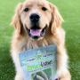 Nature Gnaws Deer Antlers for Small Dogs - Premium Natural USA Antler - Long Lasting Dog Chews for Aggressive Chewers - Mix of Split and Whole - 4-7 Inch
