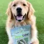 Nature Gnaws Deer Antlers for Small Dogs - Premium Natural USA Antler - Long Lasting Dog Chews for Aggressive Chewers - Mix of Split and Whole - 4-7 Inch Nature Gnaws Deer Antlers for Small Dogs - Premium Natural USA Antler - Long Lasting Dog Chews for Aggressive Chewers - Mix of Split and Whole - 4-7 Inch