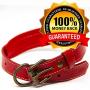 Logical Leather Padded Dog Collar - Best Full Grain Heavy Duty Genuine Leather Collars