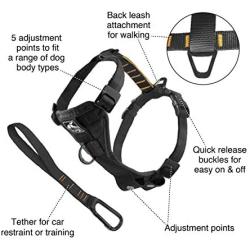 Kurgo Dog Harness | Pet Walking Harness | Car Harness for Dogs | Front D-Ring for No Pull Training | Includes Dog Seat Belt Tether | Tru-Fit Smart Harness | For Small, Medium, & Large Dogs