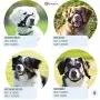Gentle Muzzle Guard for Dogs - Prevents Biting Unwanted Chewing Safely Secure Comfort Fit - Soft Neoprene Padding – No More Chafing – Included Training Guide Helps Build Bonds Pet Gentle Muzzle Guard for Dogs - Prevents Biting Unwanted Chewing Safely Secure Comfort Fit - Soft Neoprene Padding – No More Chafing – Included Training Guide Helps Build Bonds Pet