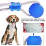 Suction Cup Dog Toy, Multifunction Pet Molar Bite Toy with Strong Rope and Powerful Suction Cup for Tug and Chewing, Helps Clean Teeth