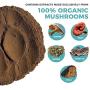 5 Defenders Organic Mushroom Extract Blend for Immune Support & Digestion, 45g Vegan Chaga, Reishi, Shiitake, Maitake & Turkey Tail Powder for Stress & Better Mood, Verified Levels of Beta-Glucans