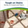 Woolite Free & Clear, Pet Stain & Odor Remover, 22oz (Pack of 2), 2719 Woolite Free & Clear, Pet Stain & Odor Remover, 22oz (Pack of 2), 2719