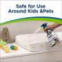 Woolite Free & Clear, Pet Stain & Odor Remover, 22oz (Pack of 2), 2719