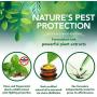 Vets Best Mosquito Repellent Spray for Dogs & Cats