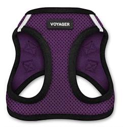 Voyager Step-in Air Dog Harness - All Weather Mesh, Step in Vest Harness for Small and Medium Dogs by Best Pet Supplies