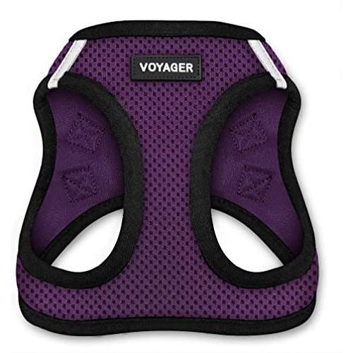 Voyager Step-in Air Dog Harness - All Weather Mesh, Step in Vest Harness for Small and Medium Dogs by Best Pet Supplies