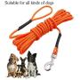 Vivifying Dog Check Cord, 20FT/6M Floatable Long Dog Training Rope with Handle for Beach, Lake