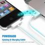 POWERADD Apple Certified iPhone 4 4s 3G 3GS iPad 1 2 3 iPod Touch Nano 30 Pin Charger USB Sync Cable Charging Cord Dock Adapter Data 4 Feet White (1 pcs, White)